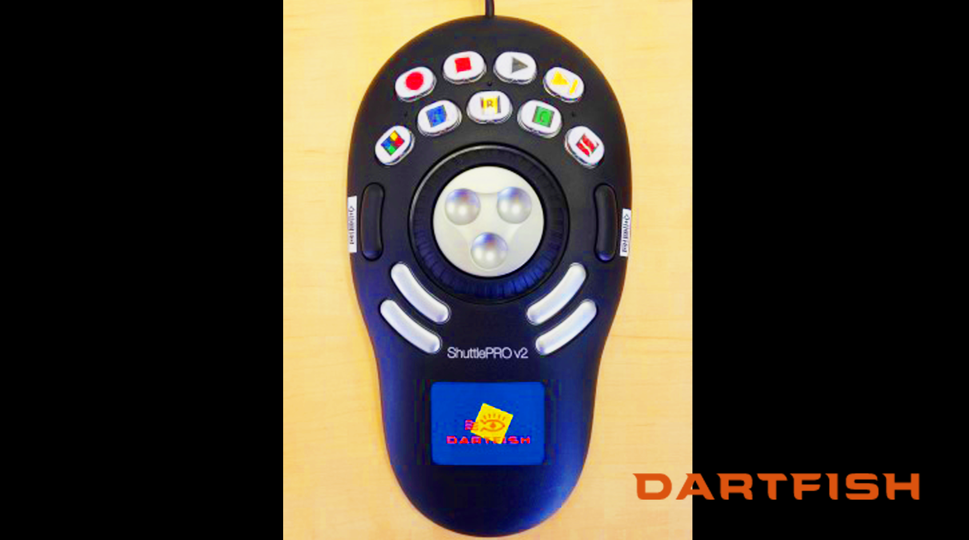 ダートフィッシュのビデオリプレイシステムの画像